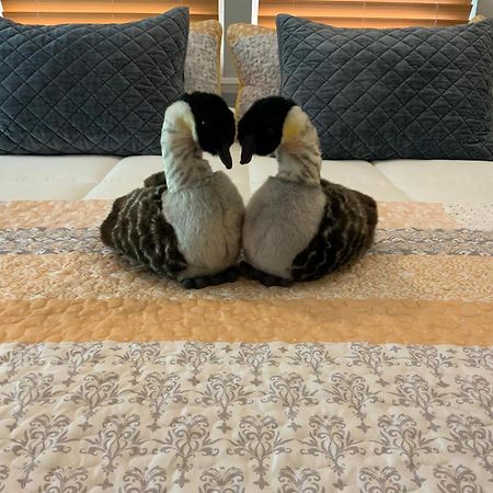 Kilauea House Bed and Breakfast Volcano Εξωτερικό φωτογραφία